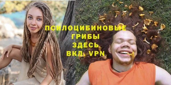 2c-b Богородск