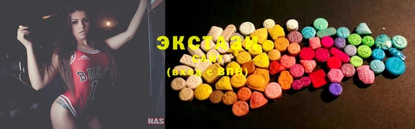 spice Богородицк