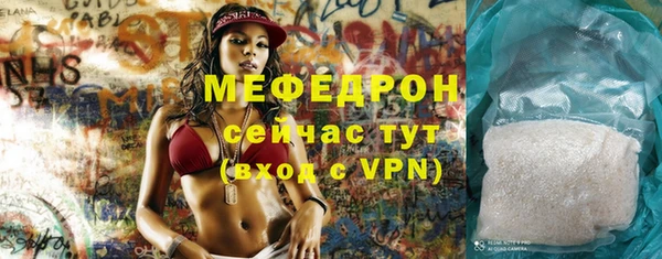 spice Богородицк
