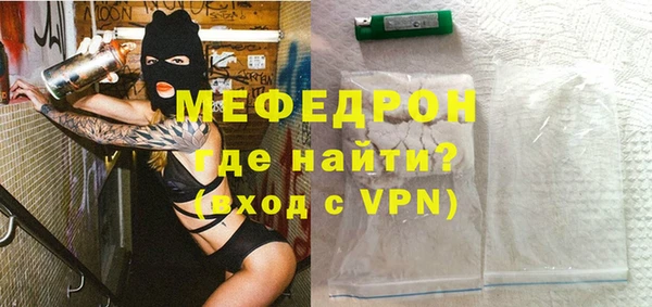 spice Богородицк